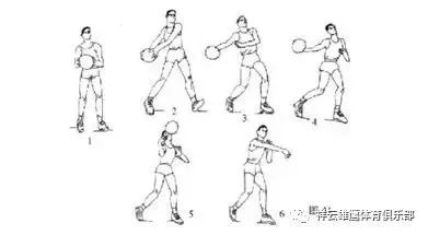 哪里有适合初学者的篮球进步课程?_0